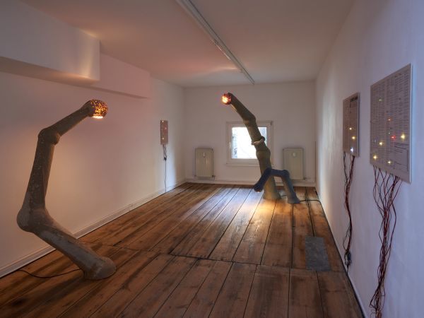 Installation view
